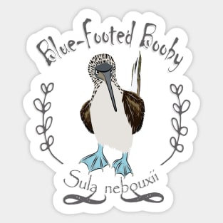 Blue footed booby Sticker